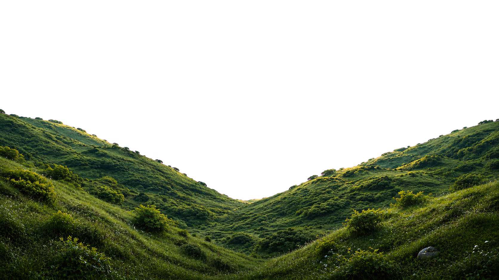 Rolling grassy valley