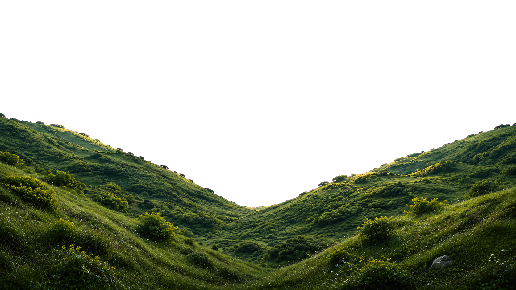 Rolling grassy valley